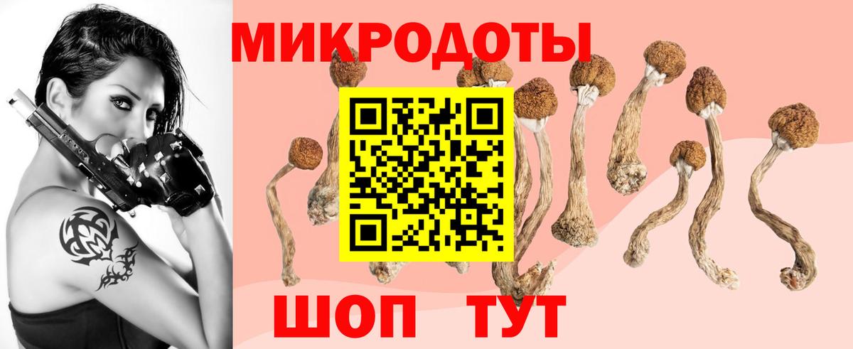 купить наркотик  Вход с VPN  Нальчик  Псилоцибиновые грибы Psilocybe 